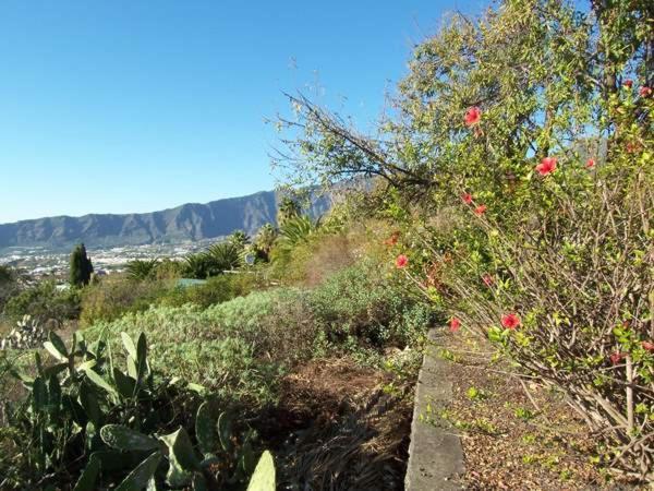 אל פאסו Casitas Vista Valle Bajo מראה חיצוני תמונה